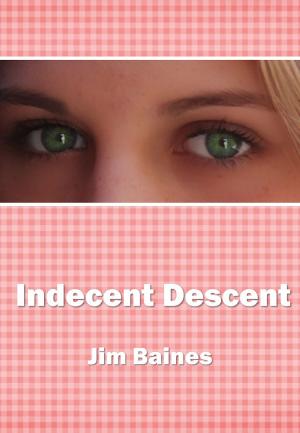 Cover of the book Indecent Descent by Alice Gray