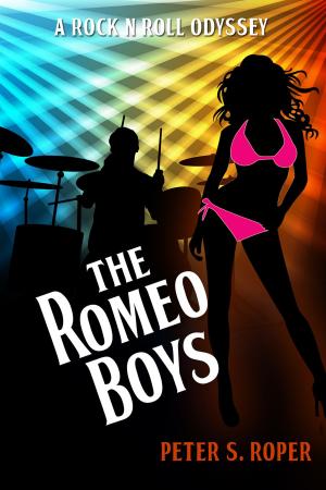 Book cover of The Romeo Boys: A Rock 'n Roll Odyssey