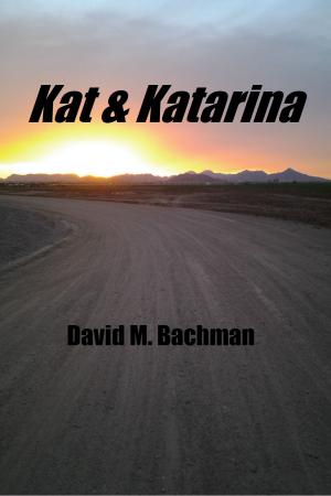 Cover of the book Kat & Katarina by Johanna White