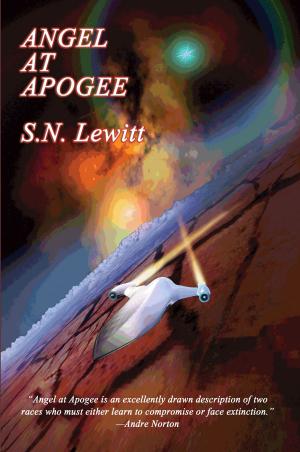 Book cover of Angel at Apogee