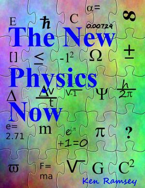Cover of The New Physics, Now
