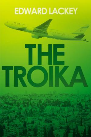 Cover of the book The Troika by BARRY SMITH