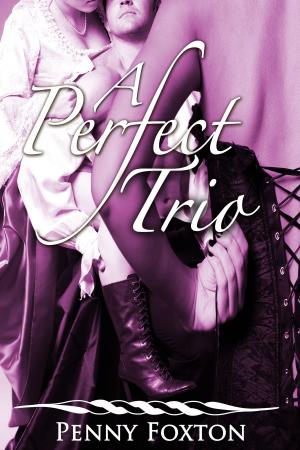 Book cover of A Perfect Trio