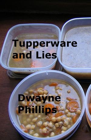 Book cover of Tupperware and Lies