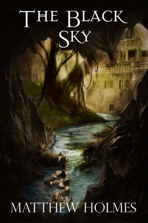 Cover of the book The Black Sky by Alan Tucker