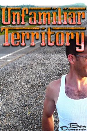 Cover of the book Unfamiliar Territory (Gay Online NSA Hookup Casual Sex Erotica) by Angeline Figura