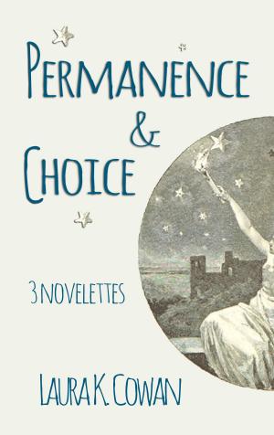 Cover of the book Permanence & Choice by D Malone McMillan