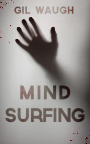 Cover of Mind Surfing