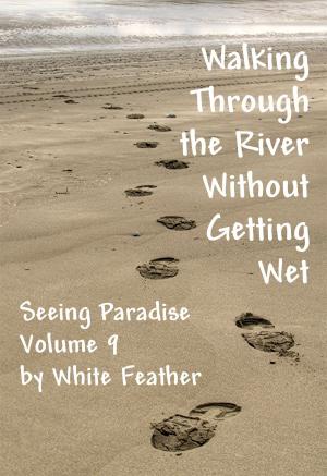 Cover of the book Seeing Paradise, Volume 9: Walking Through the River Without Getting Wet by White Feather