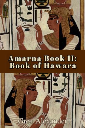 Book cover of Amarna Book II: Book of Hawara