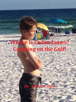 Book cover of Where is Caden James? Camping on the Gulf