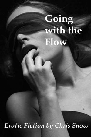 Cover of the book Going With The Flow by Jolie Mason