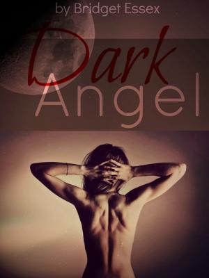 Cover of the book Dark Angel by Nicci Haydon