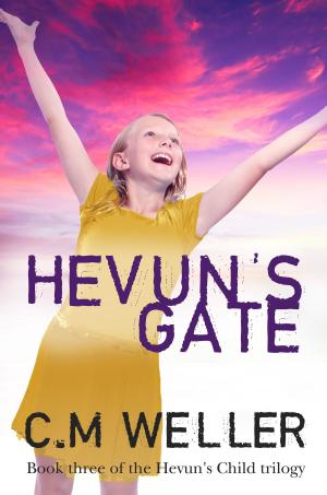 Cover of the book Hevun's Gate by DaVaun Sanders
