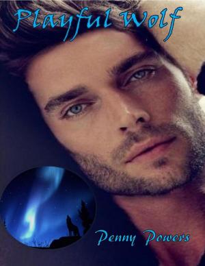 Cover of the book Playful Wolf (Mullano Pack) Book #6 by Desiree Love