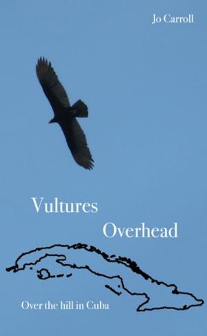 Book cover of Vultures Overhead: Over the Hill in Cuba.