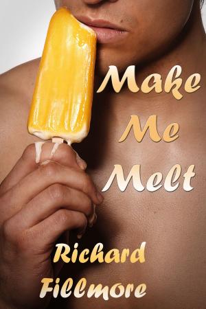 Cover of the book Make Me Melt by Rochel Baron