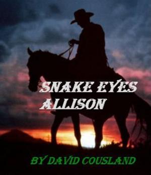 bigCover of the book Snake Eyes Allison by 