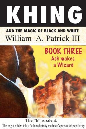 Cover of the book Khing and the Magic of Black and White: Book Three Ash Makes a Wizard by Kimber Grey