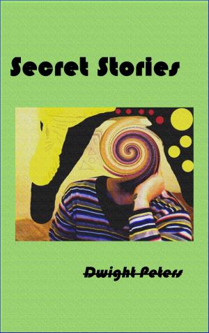 Cover of the book Secret Stories by J. Richard Singleton