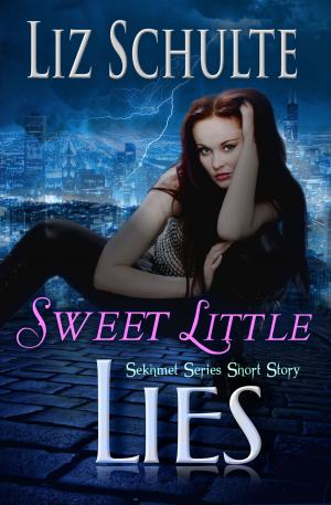 Cover of the book Sweet Little Lies by Sherry Boardman
