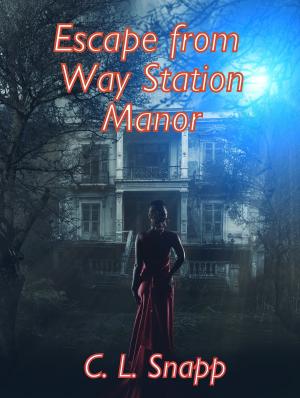Book cover of Escape from Way Station Manor