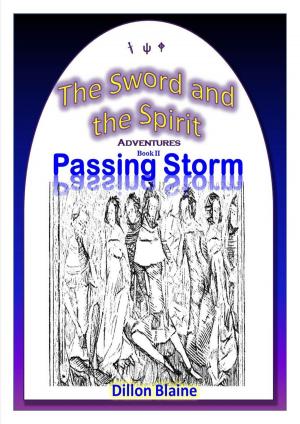 Book cover of Passing Storm