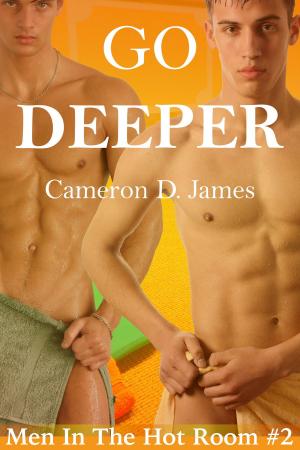 Book cover of Go Deeper