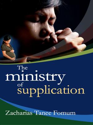 Cover of The Ministry Of Supplication