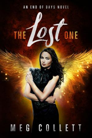 Cover of the book The Lost One by Dairenna VonRavenstone