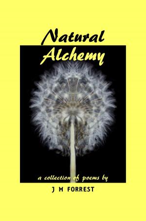 Cover of the book Natural Alchemy by Amy Michaud