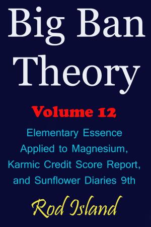 Book cover of Big Ban Theory: Elementary Essence Applied to Magnesium, Karmic Credit Score Report, and Sunflower Diaries 9th, Volume 12