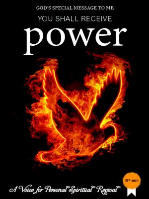 bigCover of the book You Shall Receive Power by 