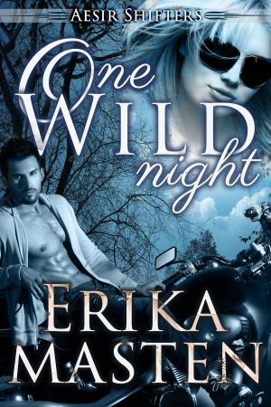 Cover of the book One Wild Night by Erika Masten