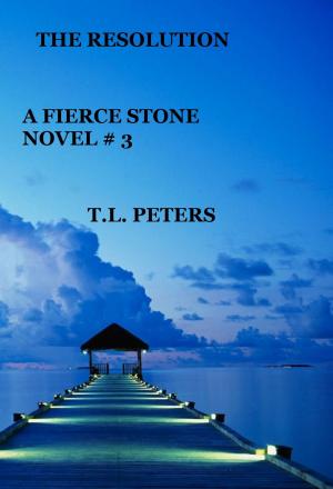 Book cover of The Resolution, A Fierce Stone Novel #3