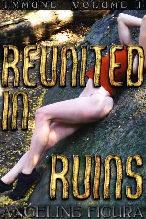 Book cover of Reunited in Ruins (Post-apocalyptic Dystopian Erotica)