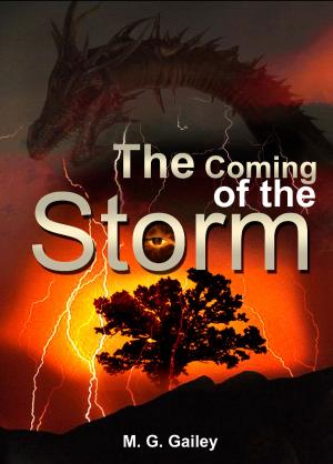 Cover of the book The Coming of The Storm by Alison McGhee