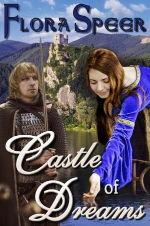 Cover of the book Castle of Dreams by Vanessa Riley