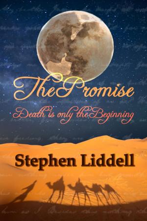 Cover of the book The Promise (Book One of the Timeless Trilogy) by Nila Gott