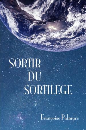 Cover of the book Sortir du sortilège by Justin Sloan