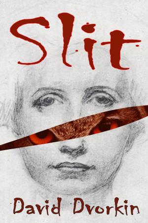 Cover of the book Slit by David Dvorkin, Daniel Dvorkin
