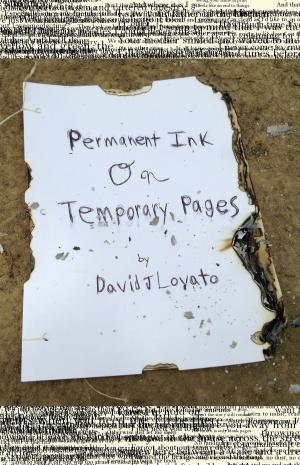 Cover of Permanent Ink on Temporary Pages
