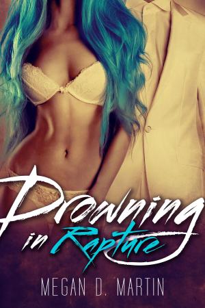 Cover of the book Drowning in Rapture by Moni Lai Storz