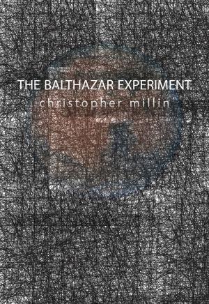 Cover of the book The Balthazar Experiment by David McRobbie