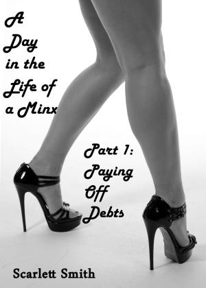 Book cover of A Day in the Life of a Minx: Paying Off Debts