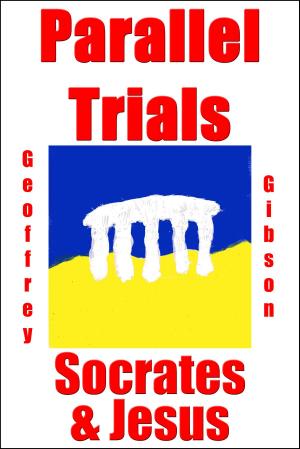 Book cover of Parallel Trials