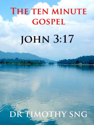 Cover of The Ten Minute Gospel John 3.17