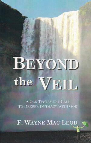 Cover of the book Beyond the Veil by Barry Holcomb