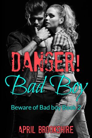 Cover of the book Danger! Bad Boy by Wendy Dewar Hughes