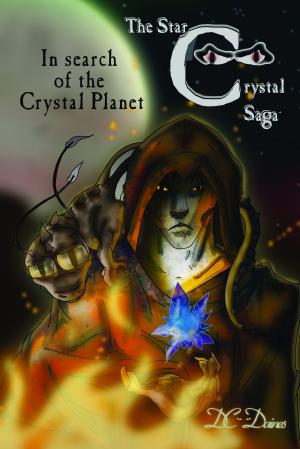 Cover of the book In Search of the Crystal Planet by Timothy Marsh